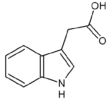 Auxin - New World Encyclopedia