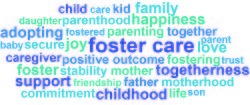 Foster Care Word Cloud - 49533592261.jpg