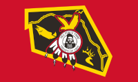 Tribal flag