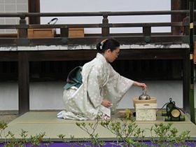 Bamboo Tea Scoop - Japanese Tea Tools – Inoue Tea