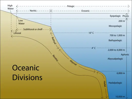 Ocean New World Encyclopedia