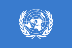 united nations development program