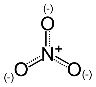 Nitrate - New World Encyclopedia