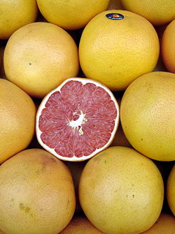 Grapefruit Encyclopedia - New World