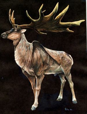 Irish Elk - New World Encyclopedia