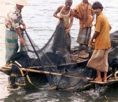 Fishing Net - New World Encyclopedia